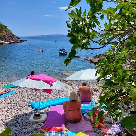 Apartament Oaza Mira Ivana *