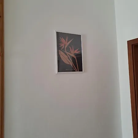 Oaza Mira Ivana Apartment